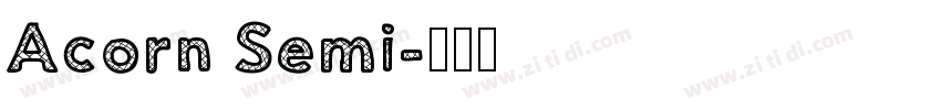 Acorn Semi字体转换